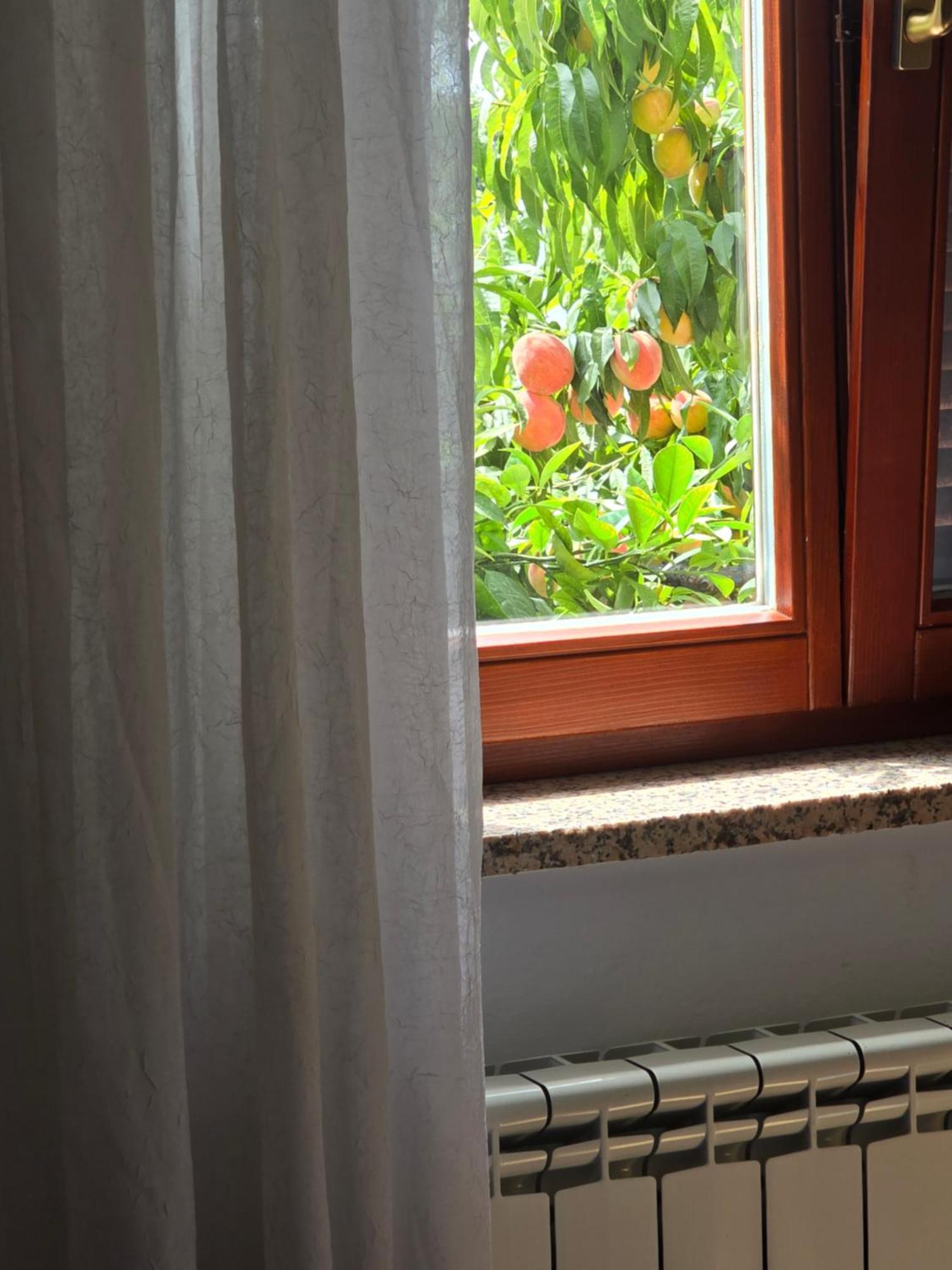 Apartman Barbara Bibinje Buitenkant foto